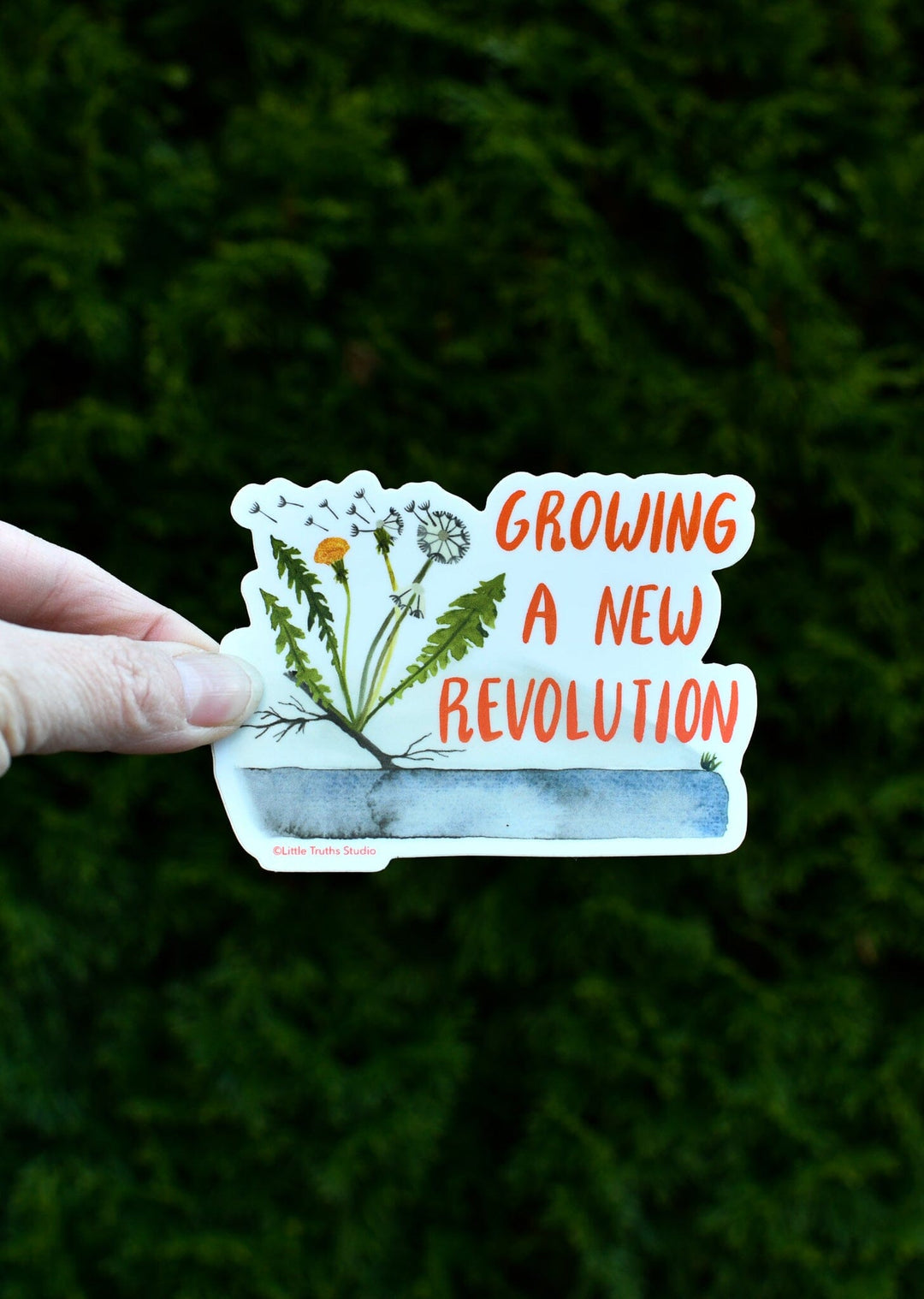 Growing A New Revolution Vinyl Sticker sticker Little Truths Studio 