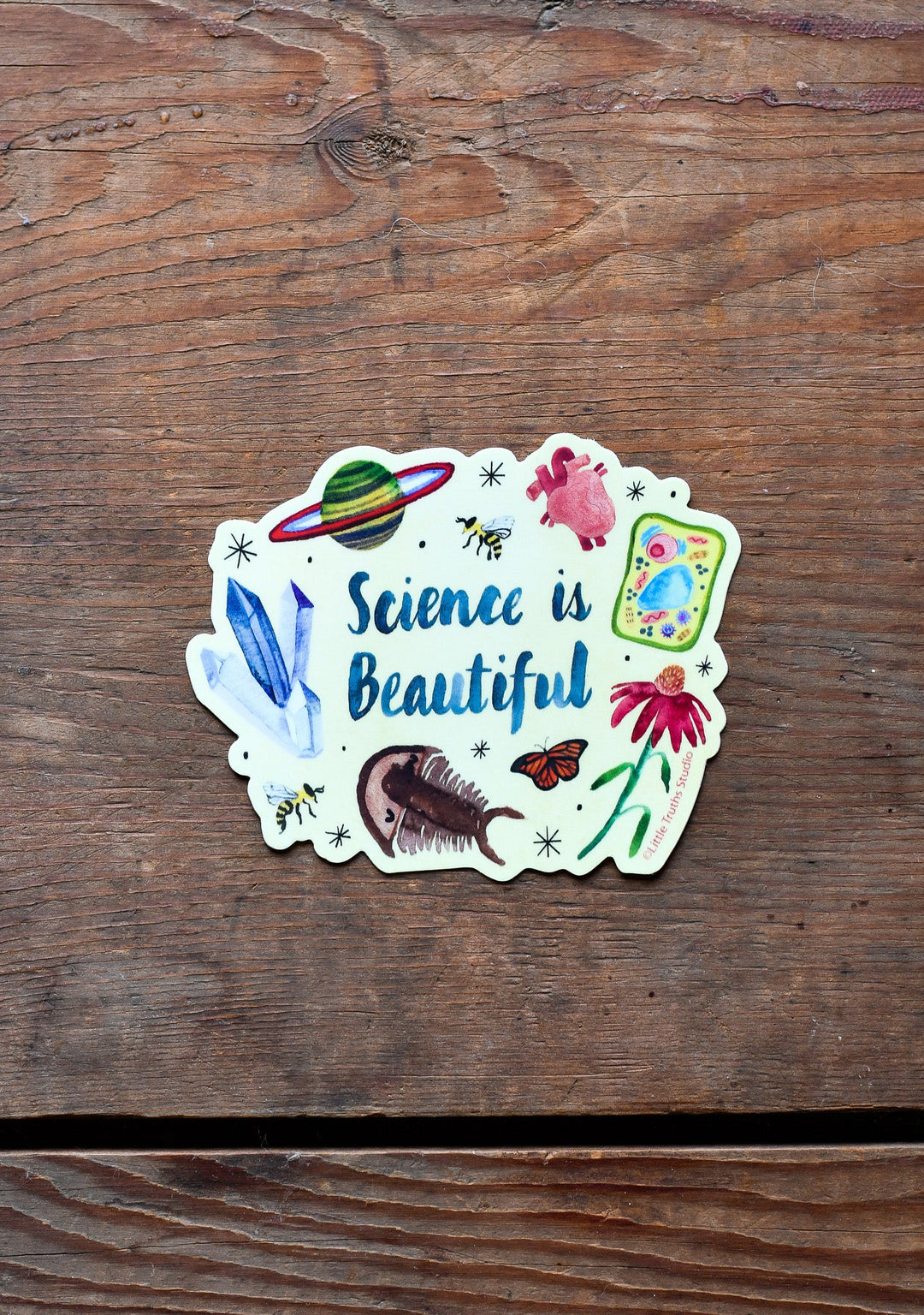 Science Is Beautiful Sticker sticker Little Truths Studio