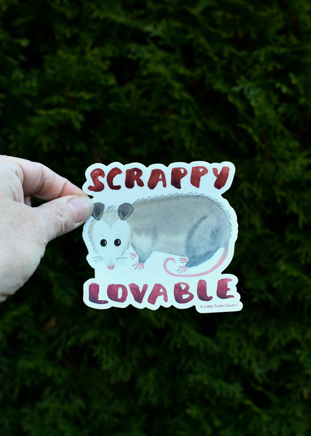Scrappy, Lovable Possum Vinyl Sticker stickers Little Truths Studio