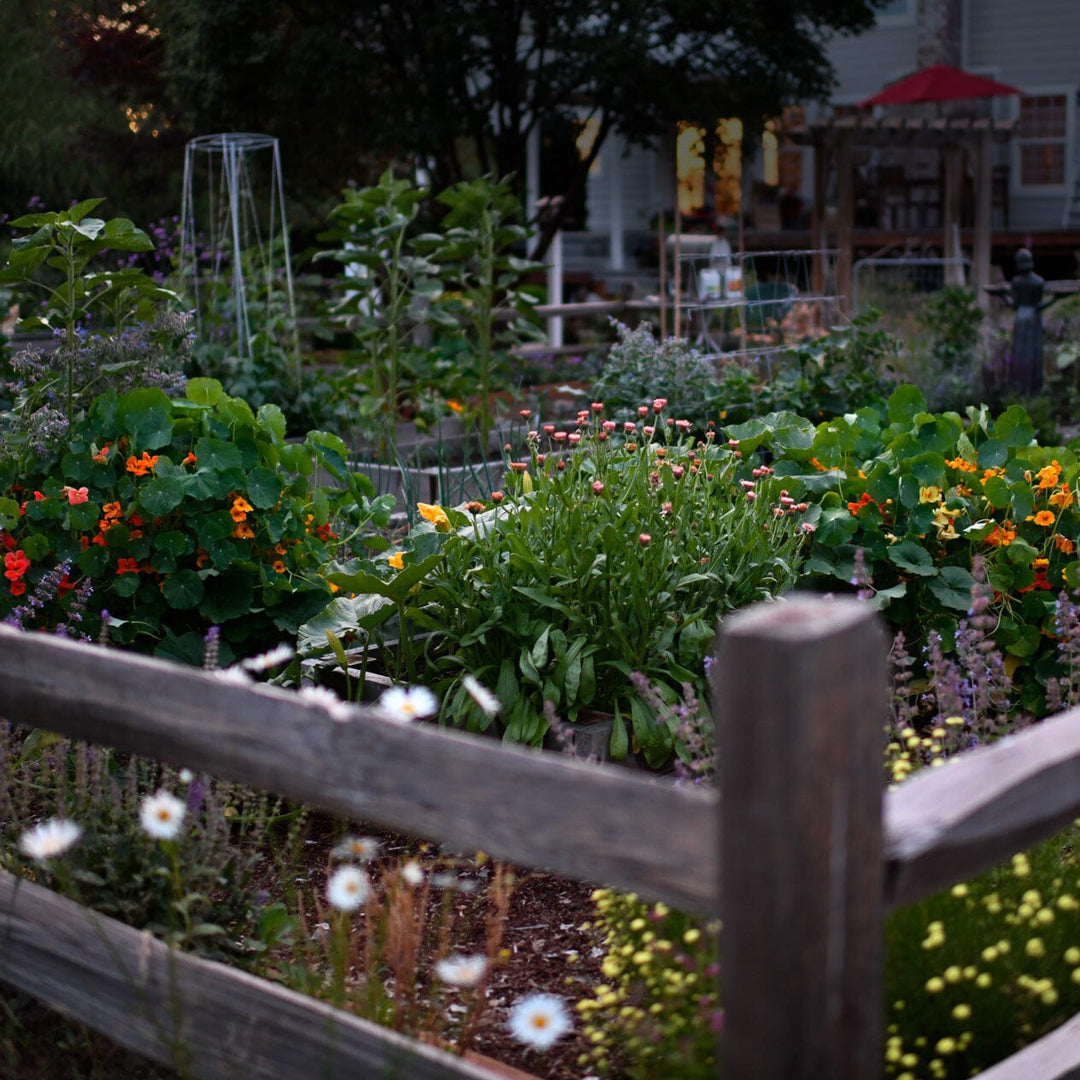 Artists and Their Gardens: lessons in creativity + impermanence