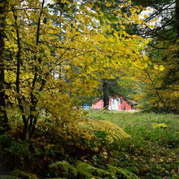 Tending the Small Fires: Lessons in Light from a Darkening Season