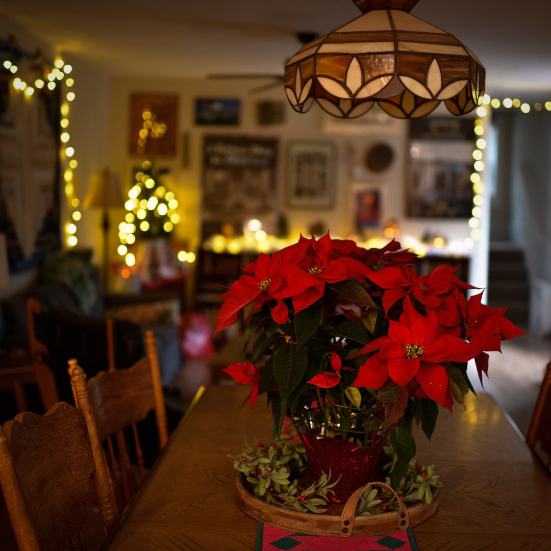 The Analog Life Project: Let's Begin!