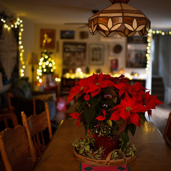 The Analog Life Project: Let's Begin!