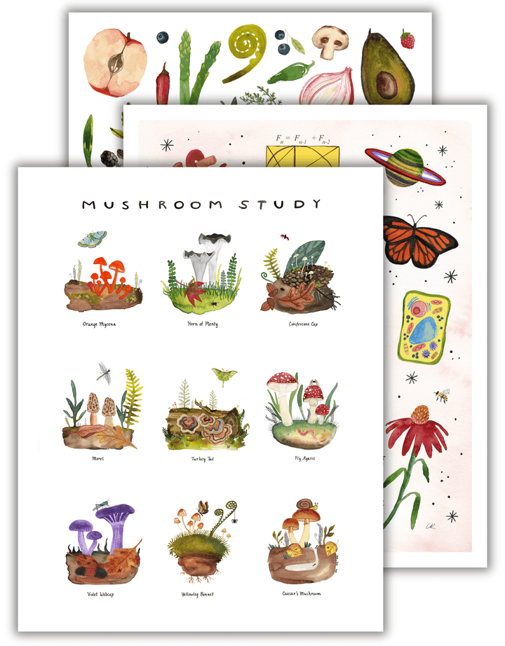 11 x 14 Mystery Art Print Bundle Art Prints Little Truths Studio 