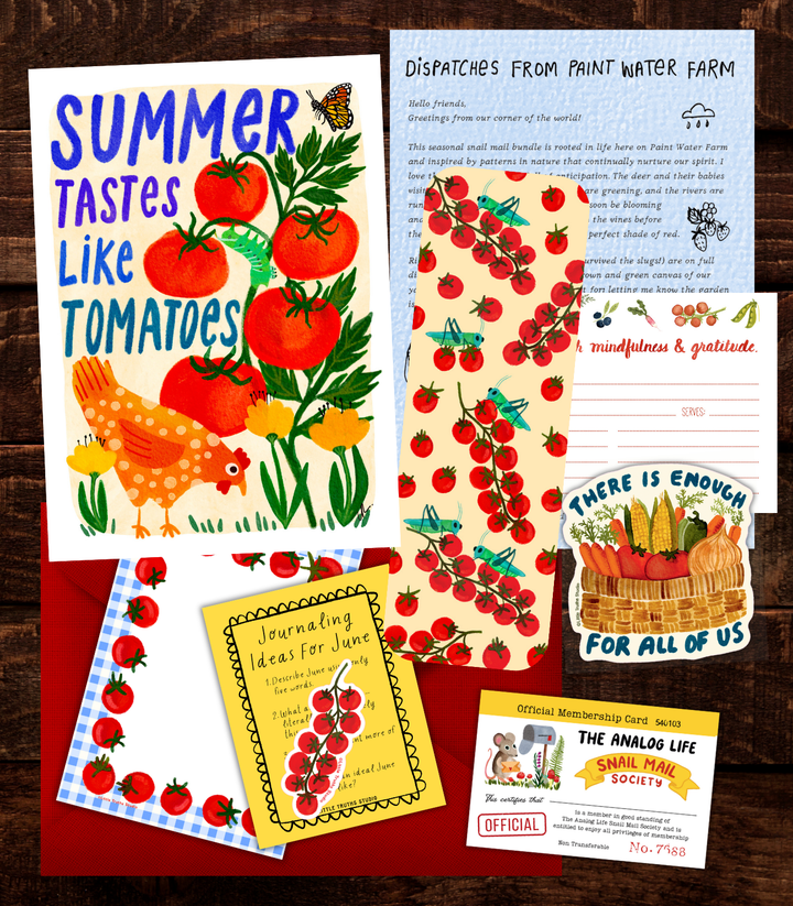 June 2026 Snail Mail Bundle