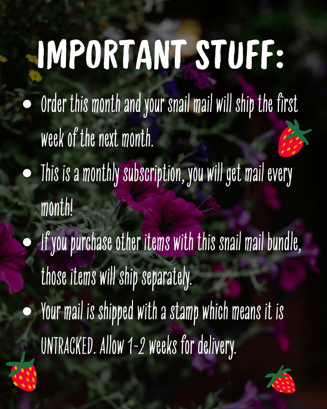 Little Truths Monthly Snail Mail Subscription (Domestic) mail subscription Little Truths Studio 