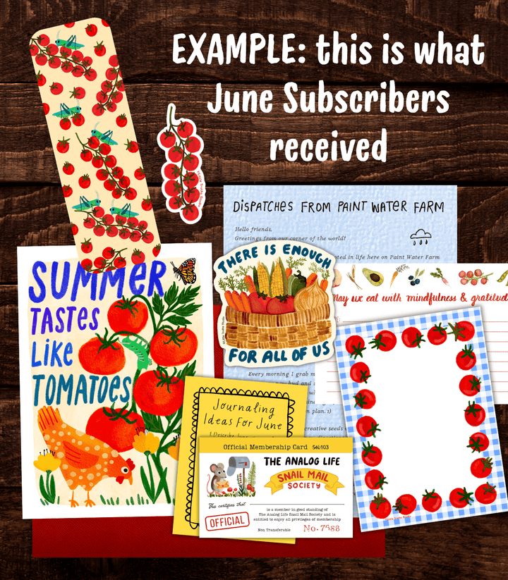 Little Truths Monthly Snail Mail Subscription (Domestic) mail subscription Little Truths Studio 