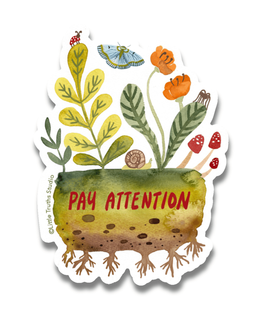 Pay Attention Sticker sticker Little Truths Studio 