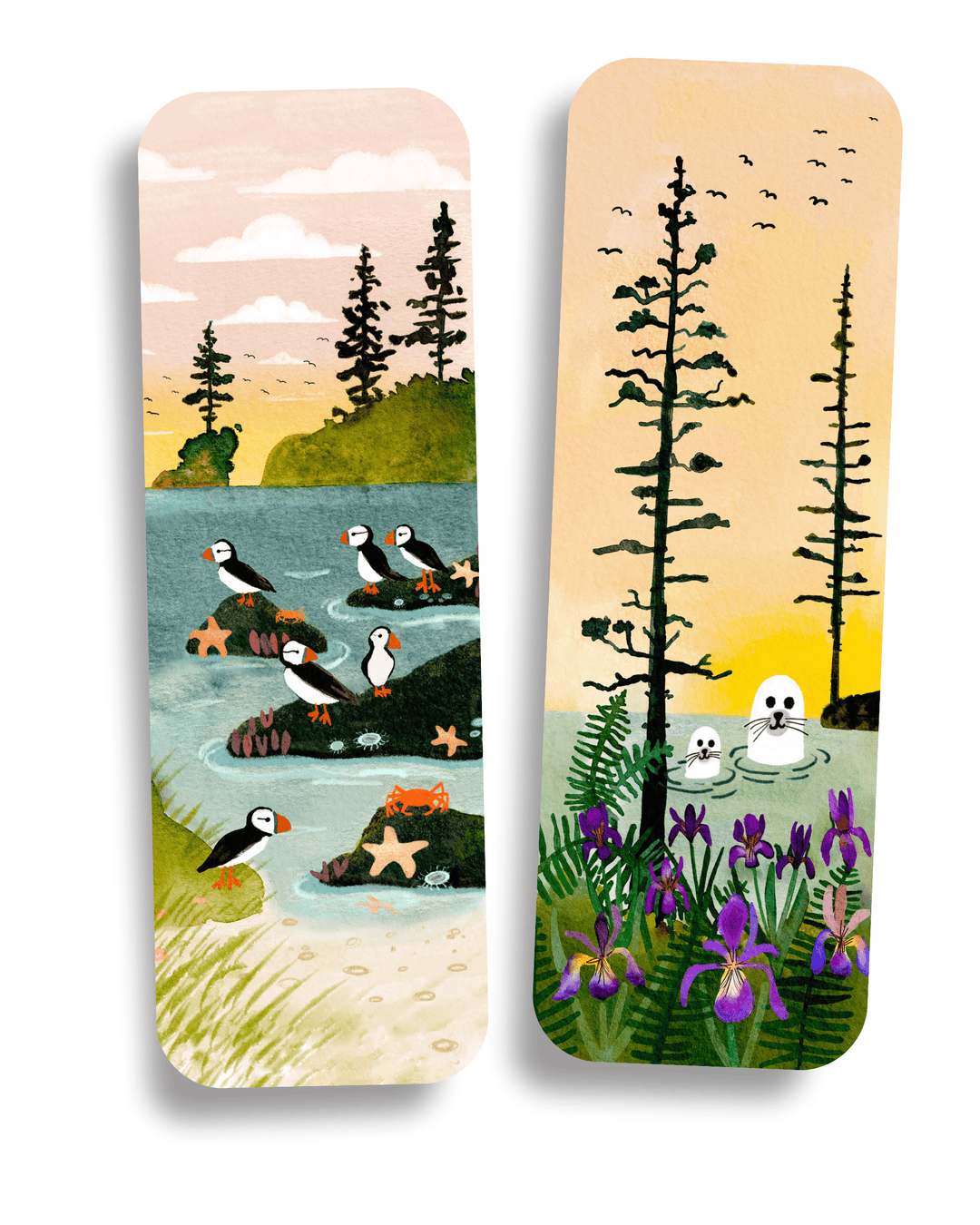 Puffins & Seals Coastal Bookmark Set Bookmark Little Truths Studio 