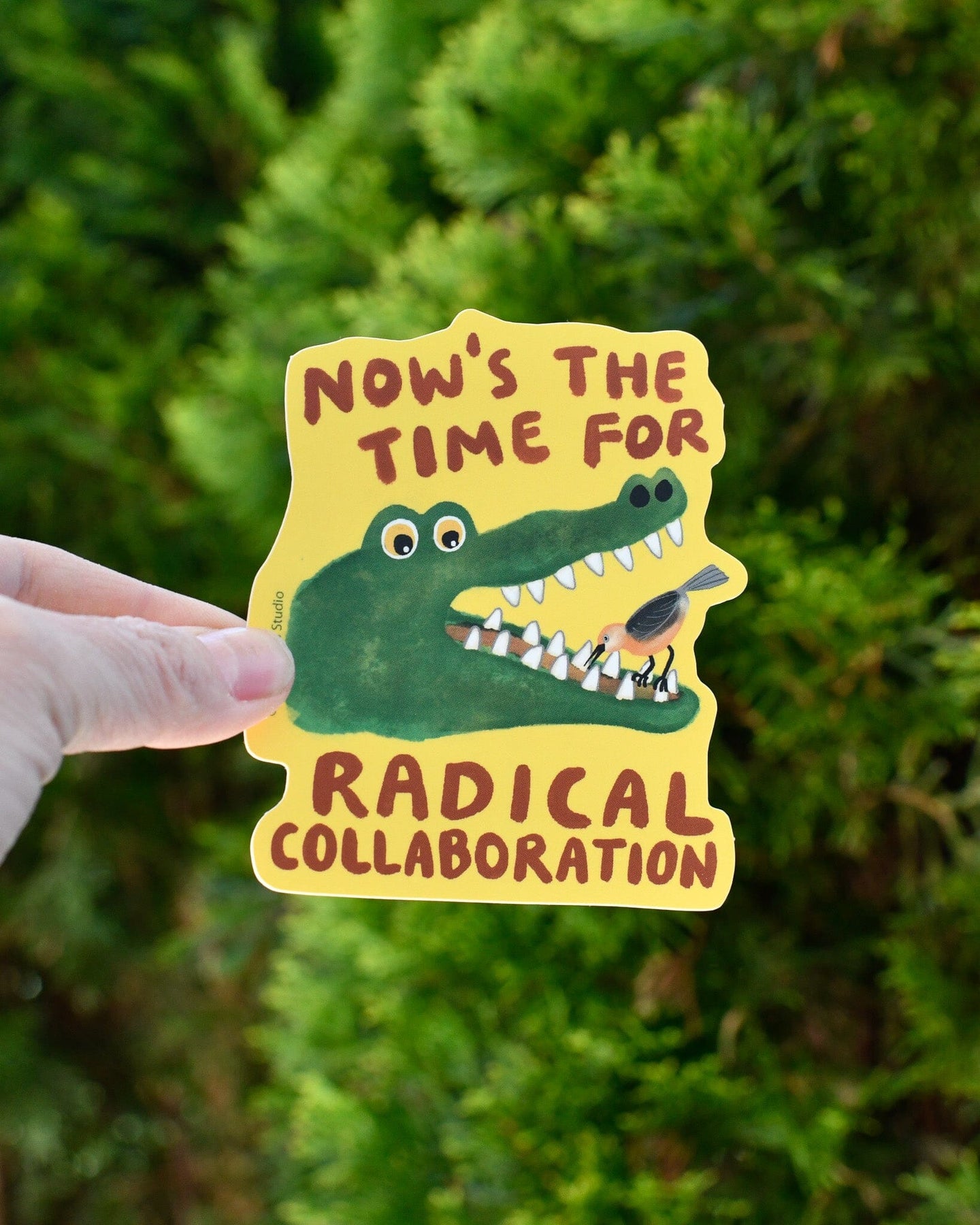 Compartive Stickers Radical Collaboration Sticker – Little Truths Studio