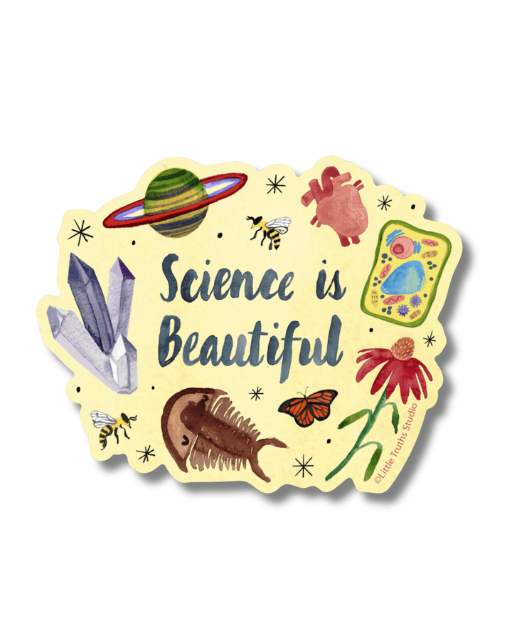 Science Is Beautiful Sticker sticker Little Truths Studio 