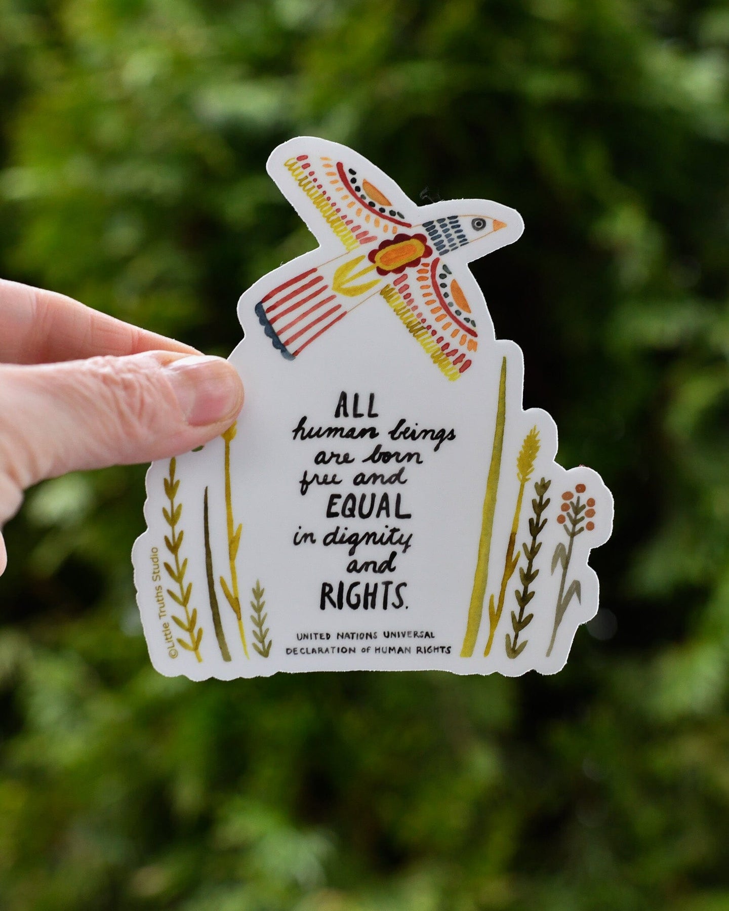 United Nations Declaration of Human Rights Vinyl Sticker – Little ...