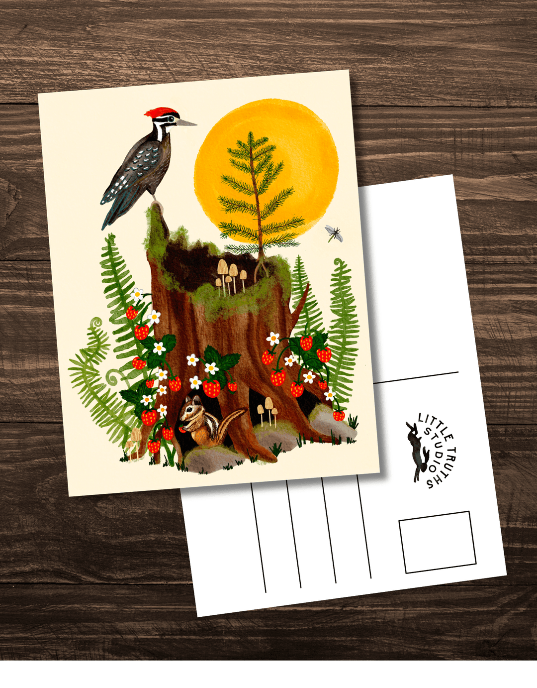 Woodland Magic 8 Postcard Set Postcard Little Truths Studio 