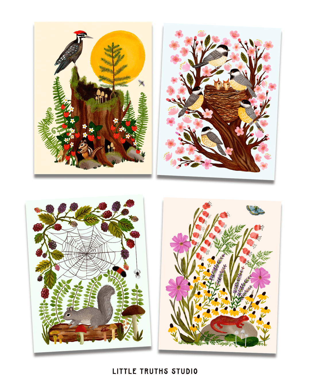 Woodland Magic 8 Postcard Set Postcard Little Truths Studio 