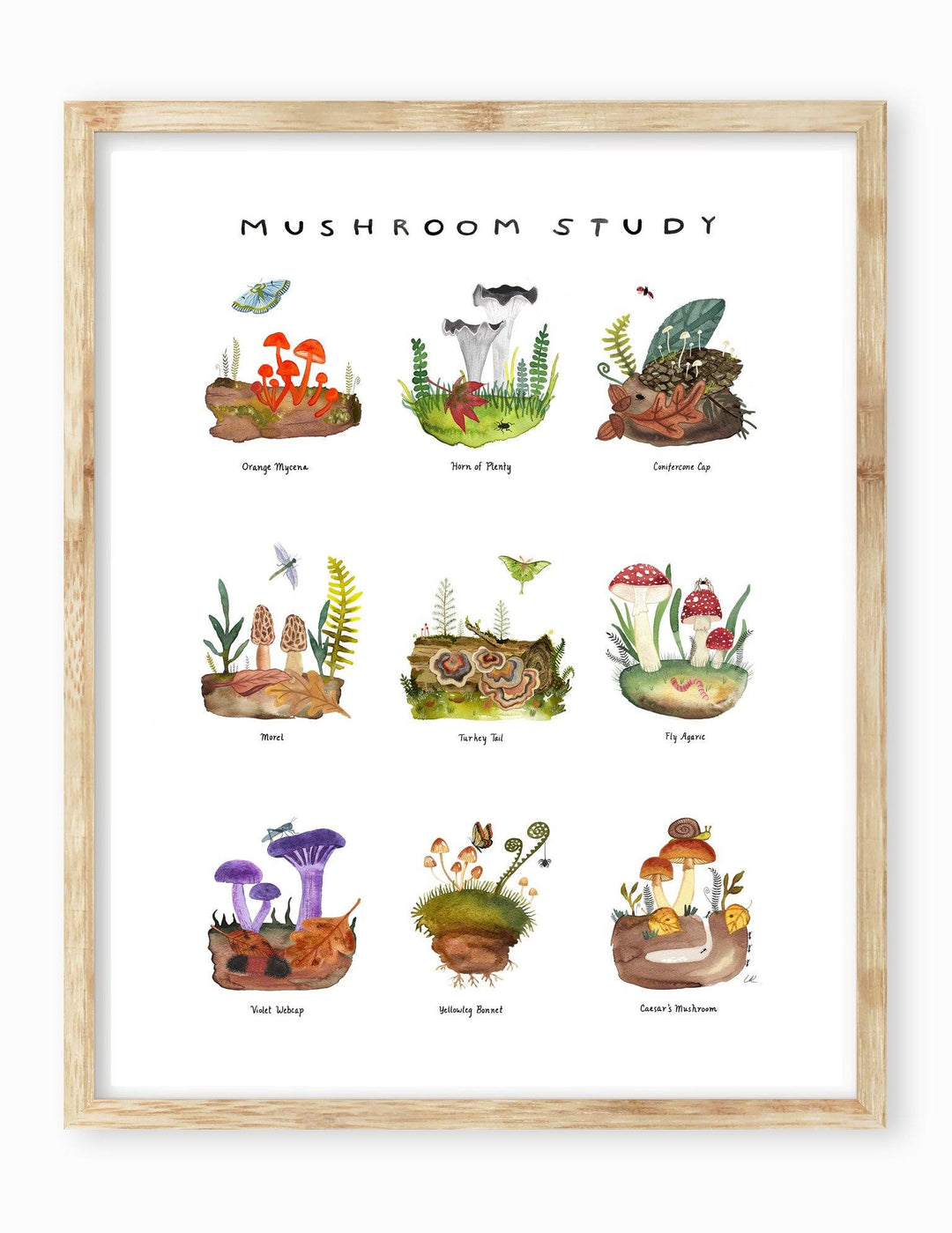 Mushroom Study Art Print Art Prints Little Truths Studio 