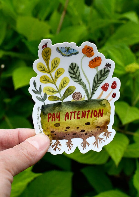 Pay Attention Sticker sticker Little Truths Studio 