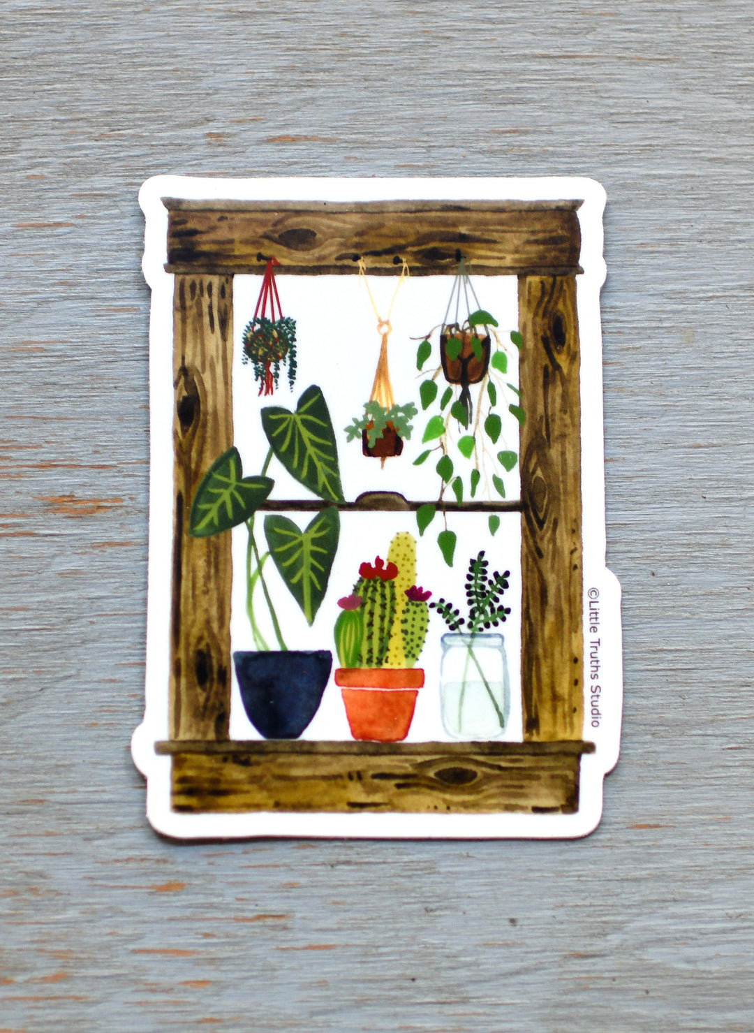 Plants Window Vinyl Sticker sticker Little Truths Studio 