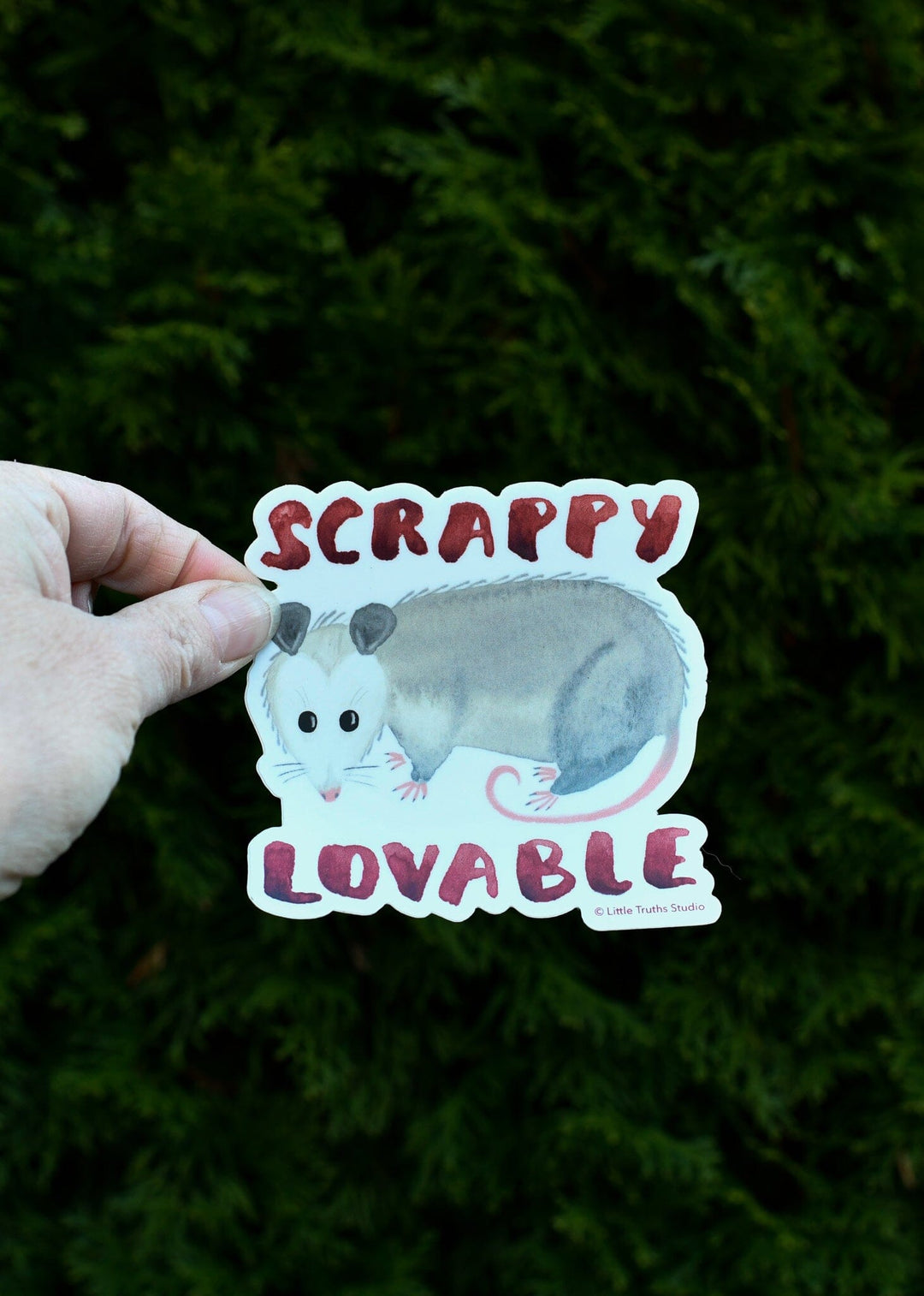 Scrappy, Lovable Possum Vinyl Sticker stickers Little Truths Studio 